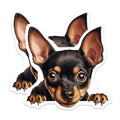 (2 Pack) Animal Lover Decor Magnet - Dog Lover Accessories - 5" On Longest Side - Sticks to Smooth Flat Surfaces - Made in USA - MAG10228