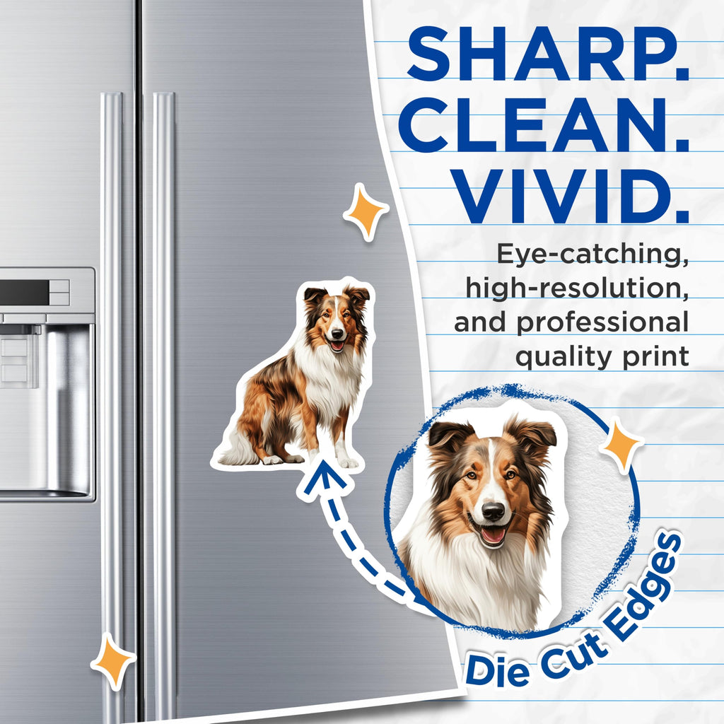 (2 Pack) Rough Collie Magnets - Dog Breed Illustration Art - Pet Owner Fridge Decor - 5 Inches On Longest Side - Thick Durable Magnet - Made in USA - MAG28963