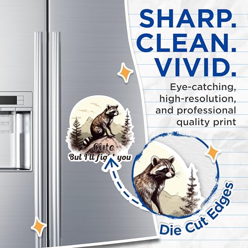 (2 Packs) Cute But I'll Fight You Raccoon Magnets - Funny Raccoon Wilderness Magnets - 5 Inches On Longest Side - Premium Magnet - for Fridges, Toolboxes, Cars - Made in USA - MAG2461