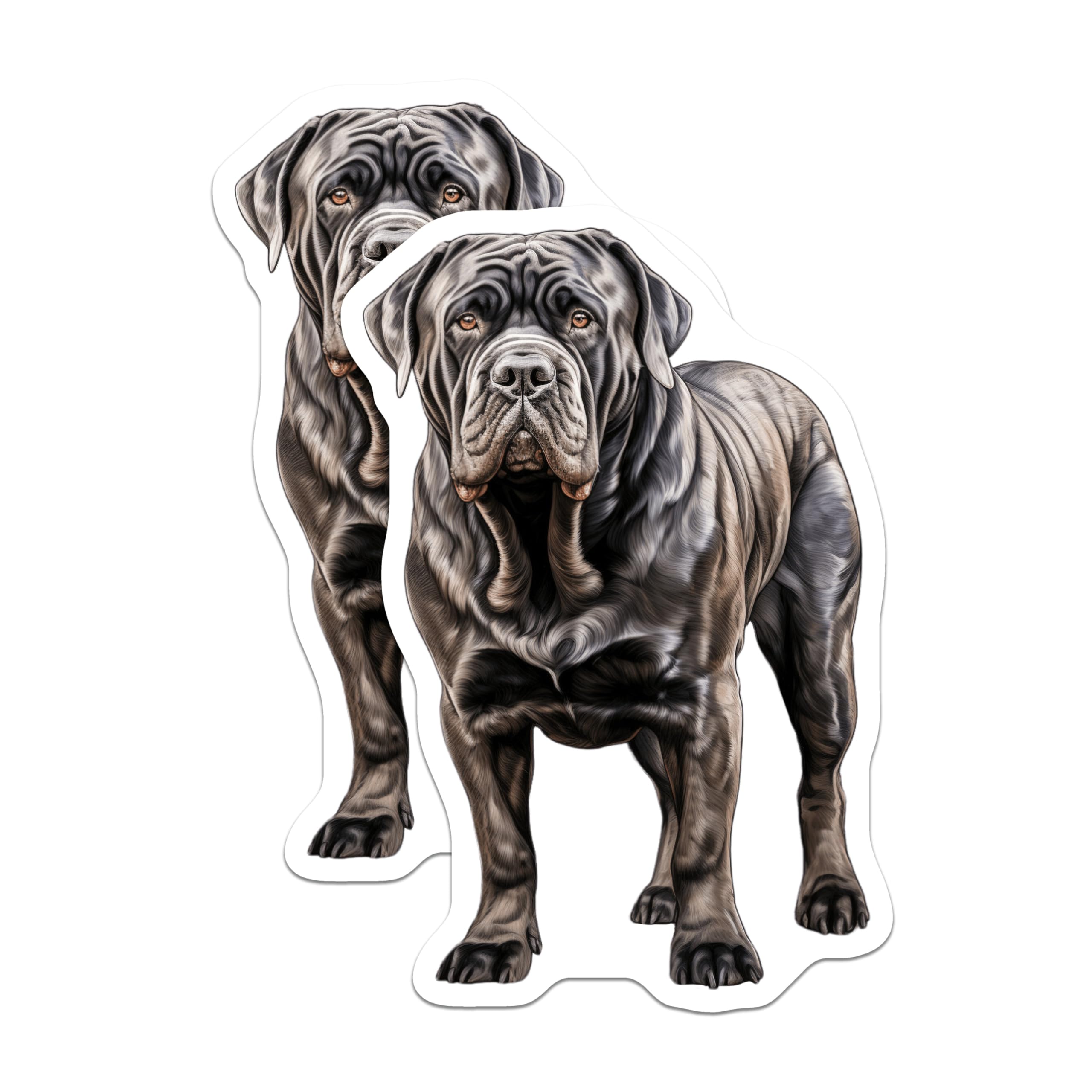 (2 Pack) Neapolitan Mastiff Magnets - Dog Breed Lover - Pet Owner Present for Fridge Car Office - 5 Inches On Longest Side - Thick Durable Magnet - Made in USA - MAG30337