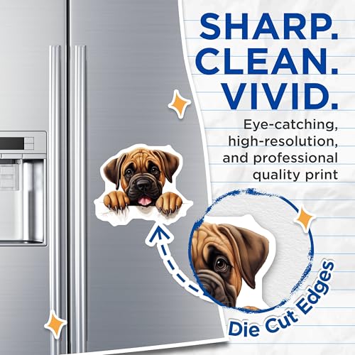 (2 Pack) Dog Lover Decor Magnet - 5" On Longest Side - Sticks to Smooth Flat Surfaces - Made in USA - MAG10224