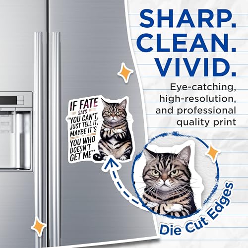 (2 Pack) Inspiring Cat Quote Magnets Magnets - Animal Motivation - Feline Wisdom for Home or Office - 5" On Longest Side - Made in USA - Sticks to Refrigerators & Metal Surfaces - MAG8758