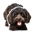 (2 Pack) Labradoodle Magnets - Dog Mom Refrigerator Decor - Puppy Lover Car Magnet - 5 Inches On Longest Side - Thick Durable Magnet - Made in USA - MAG26655