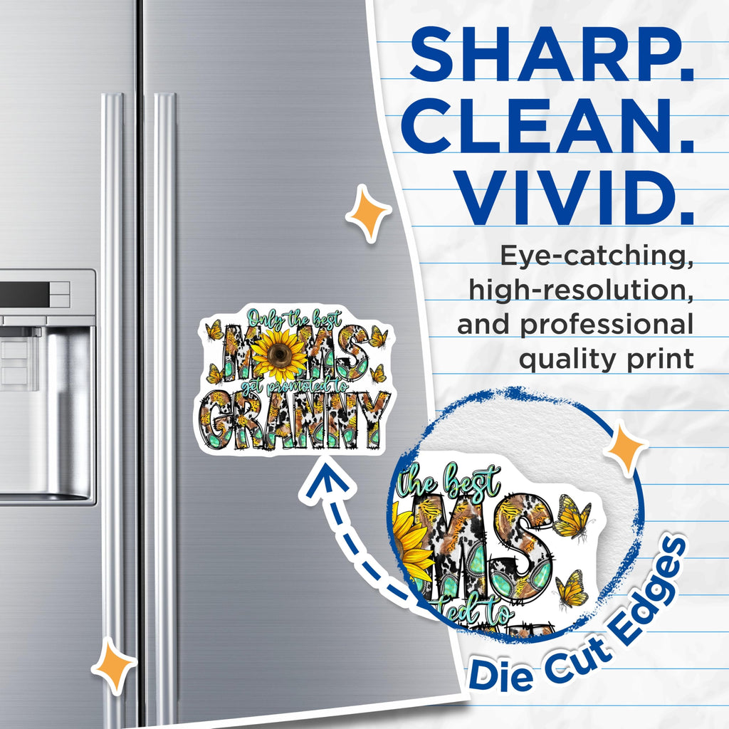 (2 Pack) Granny Promotion Magnets - Western Grandparent Decor - Sunflower Butterfly Accents - 5 Inches On Longest Side - Thick Durable Magnet - Made in USA - MAG25128
