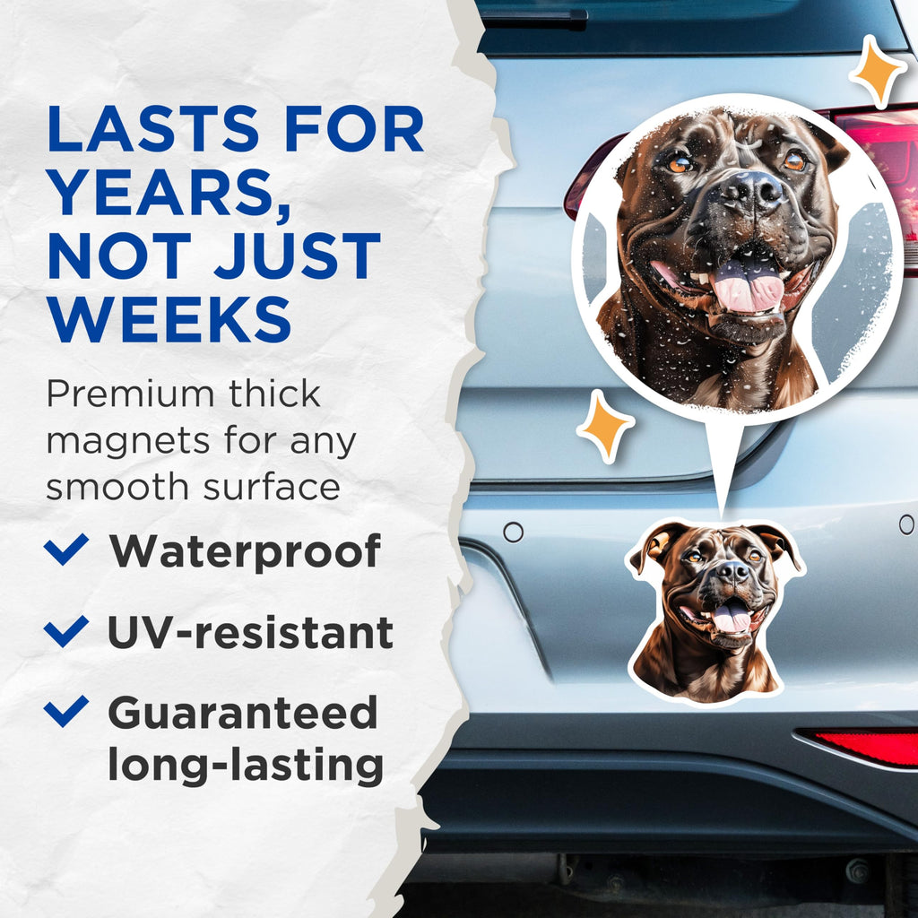 (2 Pack) Pitbull Magnets - Happy Dog Breed Decor - Pet Lover Collectible Item - 5 Inches On Longest Side - Thick Durable Magnet - Made in USA - MAG24137