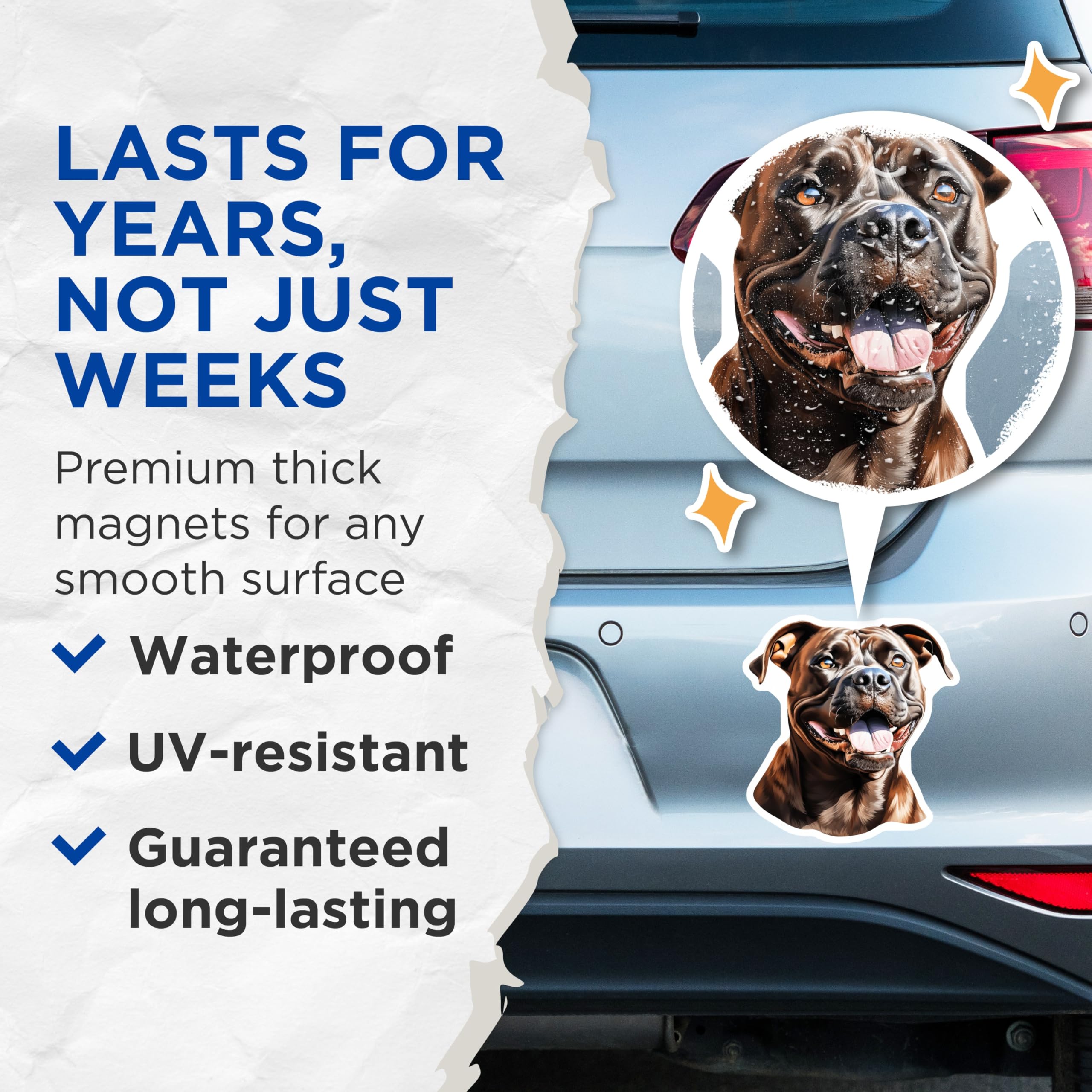 (2 Pack) Pitbull Magnets - Happy Dog Breed Decor - Pet Lover Collectible Item - 5 Inches On Longest Side - Thick Durable Magnet - Made in USA - MAG24137