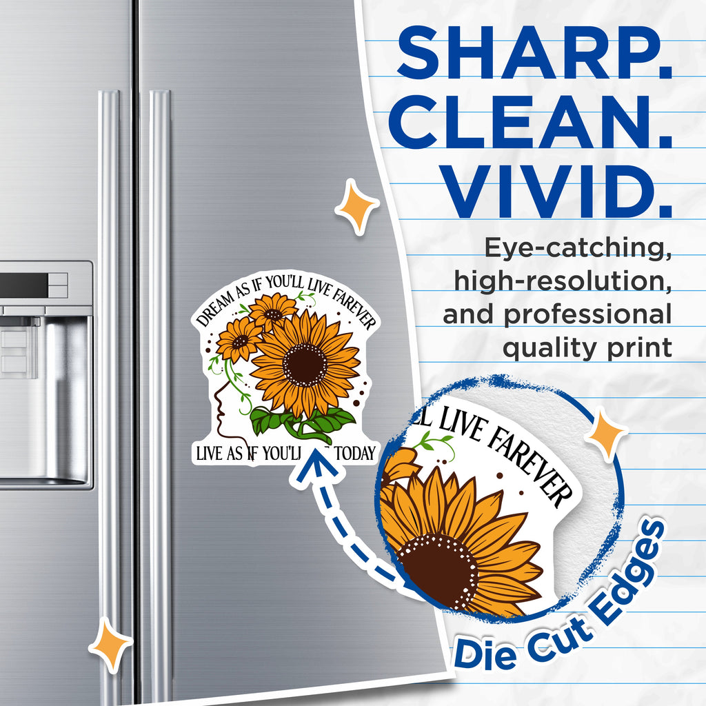 (2 Pack) Sunflower Quote Magnets - Dream Live Forever Today - Motivational Refrigerator Decor - 5 Inches On Longest Side - Thick Durable Magnet - Made in USA - MAG37918