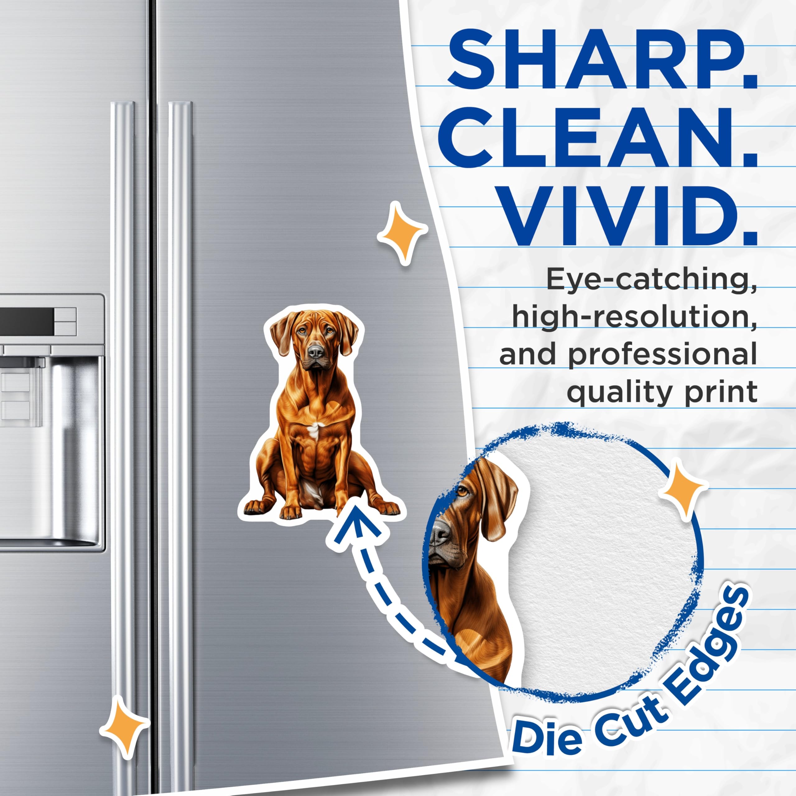 (2 Pack) Rhodesian Ridgeback Magnets - Dog Mom Decor - Pet Owner Present - Animal Art Collection - 5 Inches On Longest Side - Thick Durable Magnet - Made in USA - MAG28867