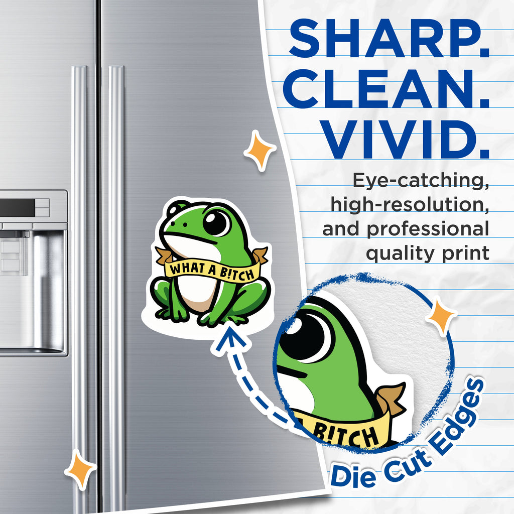 (2 Pack) Sarcastic Frog Magnets - Funny Meme What A Bitch Quote - Quirky Animal Decor - 5 Inches On Longest Side - Thick Durable Magnet - Made in USA - MAG37490