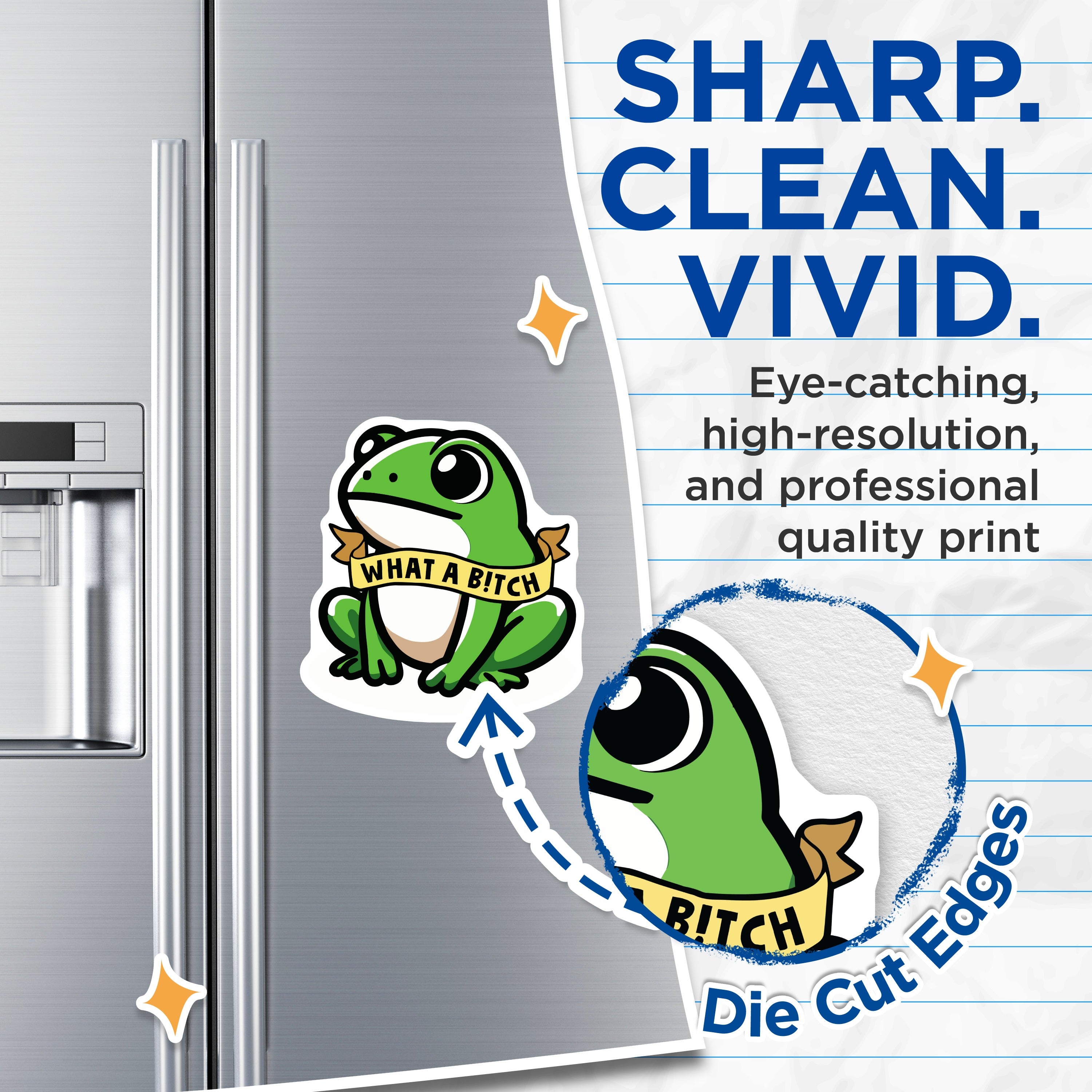 (2 Pack) Sarcastic Frog Magnets - Funny Meme What A Bitch Quote - Quirky Animal Decor - 5 Inches On Longest Side - Thick Durable Magnet - Made in USA - MAG37490