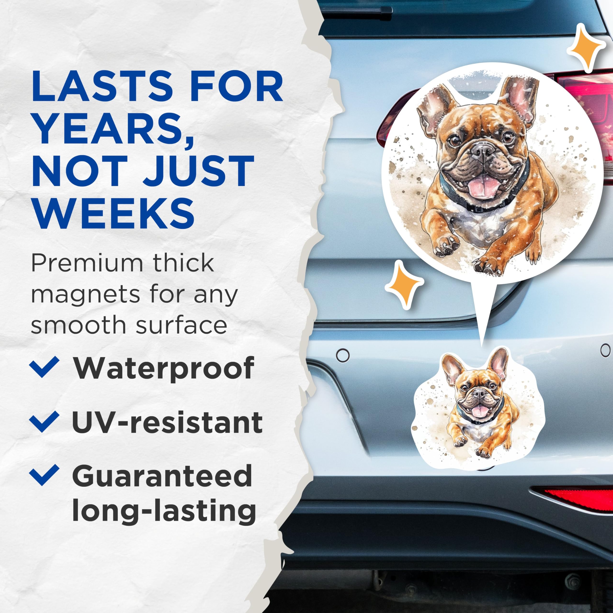 (2 Pack) French Bulldog Magnets - French Bulldog Dog Breed Magnets - Frenchie Breed - 5 Inches On Longest Side - Premium Magnet - for Cars, Refrigerators, Toolboxes - Made in USA - MAG2191