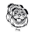 (2 Pack) Pug Dog Magnets - Adorable Dog Lover Magnet - Cute Puppy Refrigerator Magnets - 5" On Longest Side - for Cars, Fridges, Toolboxes - Made in USA - MAG4019
