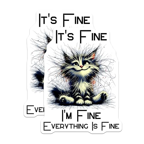 (2 Pack) Cat Meme Magnets - Funny Quote Cat Magnets - Everything is Fine Magnets - 5" On Longest Side - for Cars, Refrigerators, Toolboxes, Lockers - Made in USA BMCS3365