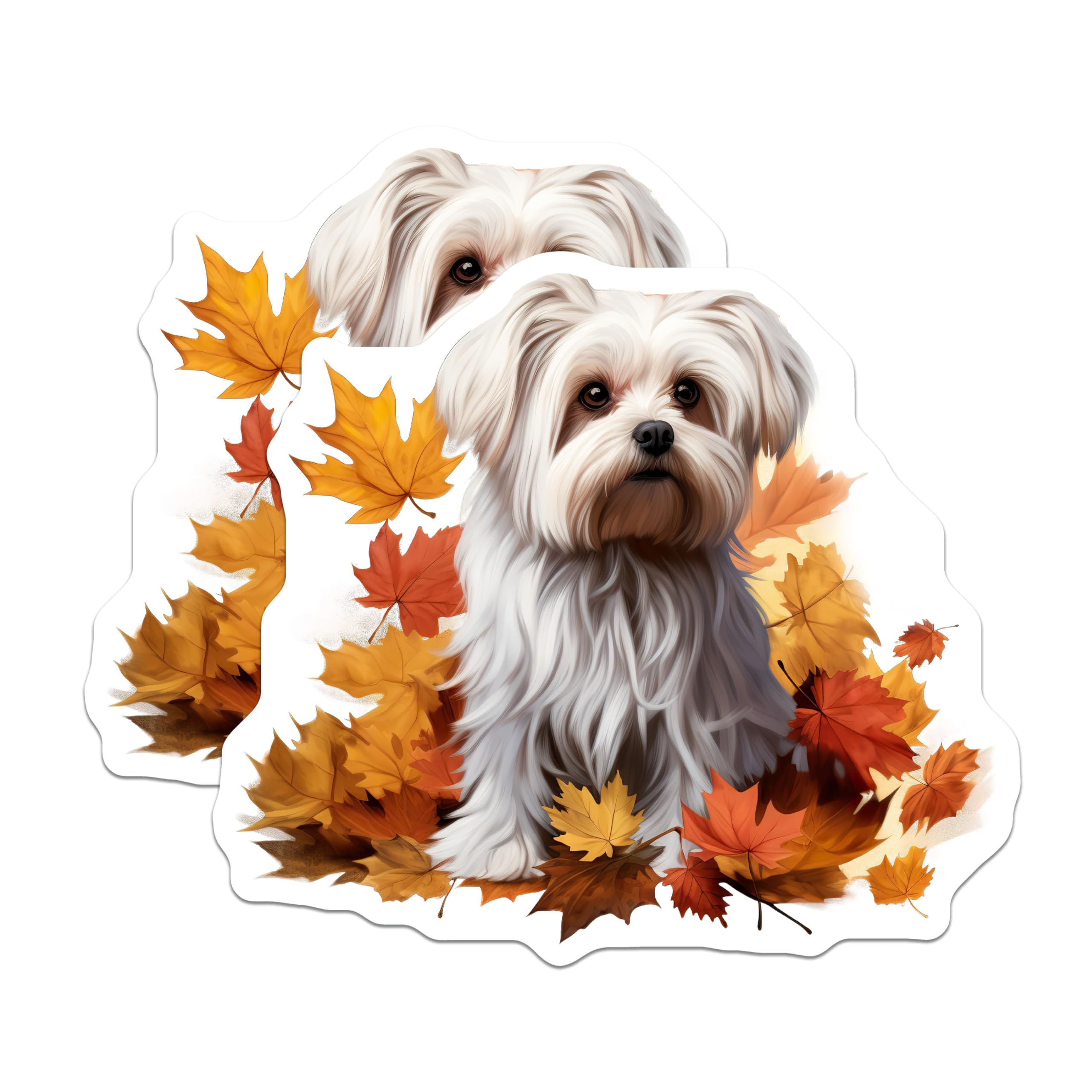(2 Pack) Cute Maltese Dog Magnets - Fall Leaves Pet Lover Decor - Autumn Kitchen Locker Accent - 5 Inches On Longest Side - Thick Durable Magnet - Made in USA - MAG25839