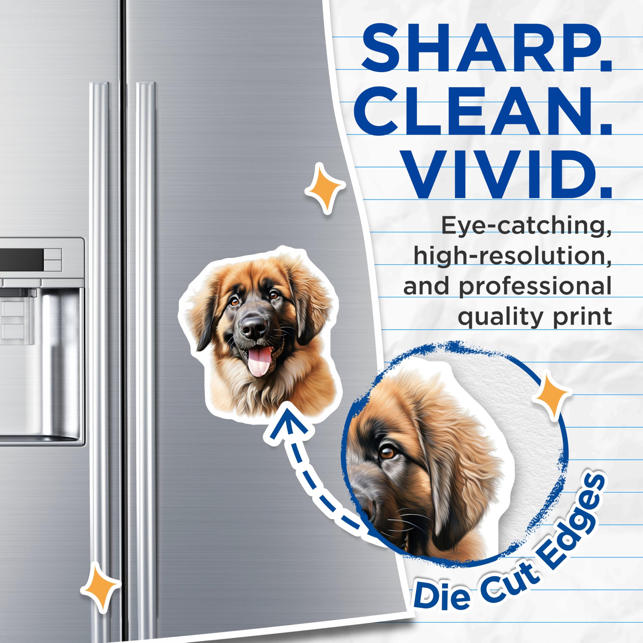 (2 Pack) Leonberger Puppy Magnets - Cute Fluffy Dog Breed Art - Animal Lover Refrigerator Decor - Pet Owner Home Accessory - 5 Inches On Longest Side - Thick Durable Magnet - Made in USA - MAG23987