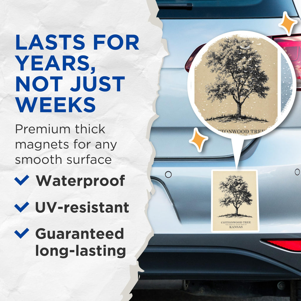 (2 Pack) Kansas Magnets - Cottonwood Tree - State Tree Magnets - 5" On Longest Side - Premium Magnet - for Cars, Refrigerators, Toolboxes, Lockers - Made in USA - MAG18590