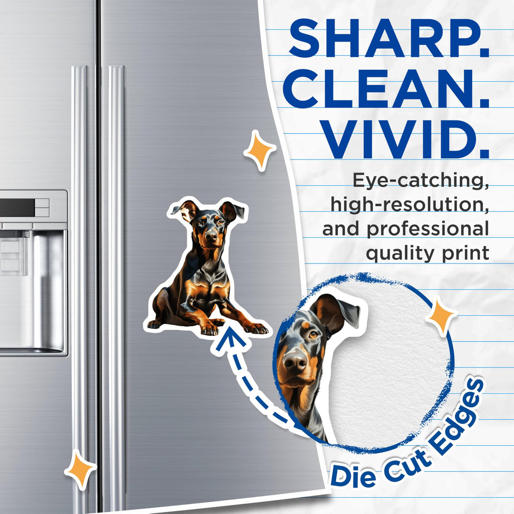 (2 Pack) Doberman Pinscher Magnets - Doberman Dog Owner Home Decor - Animal Lover Kitchen Accent - Unique Pet Art - 5 Inches On Longest Side - Thick Durable Magnet - Made in USA - MAG28082