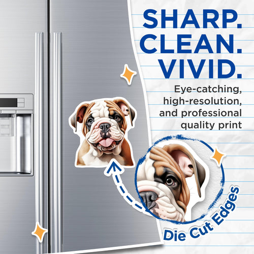 (2 Pack) Adorable Bulldog Magnets - Cute Puppy Dog Decor - Pet Lover Refrigerator Accent - 5 Inches On Longest Side - Thick Durable Magnet - Made in USA - MAG25866