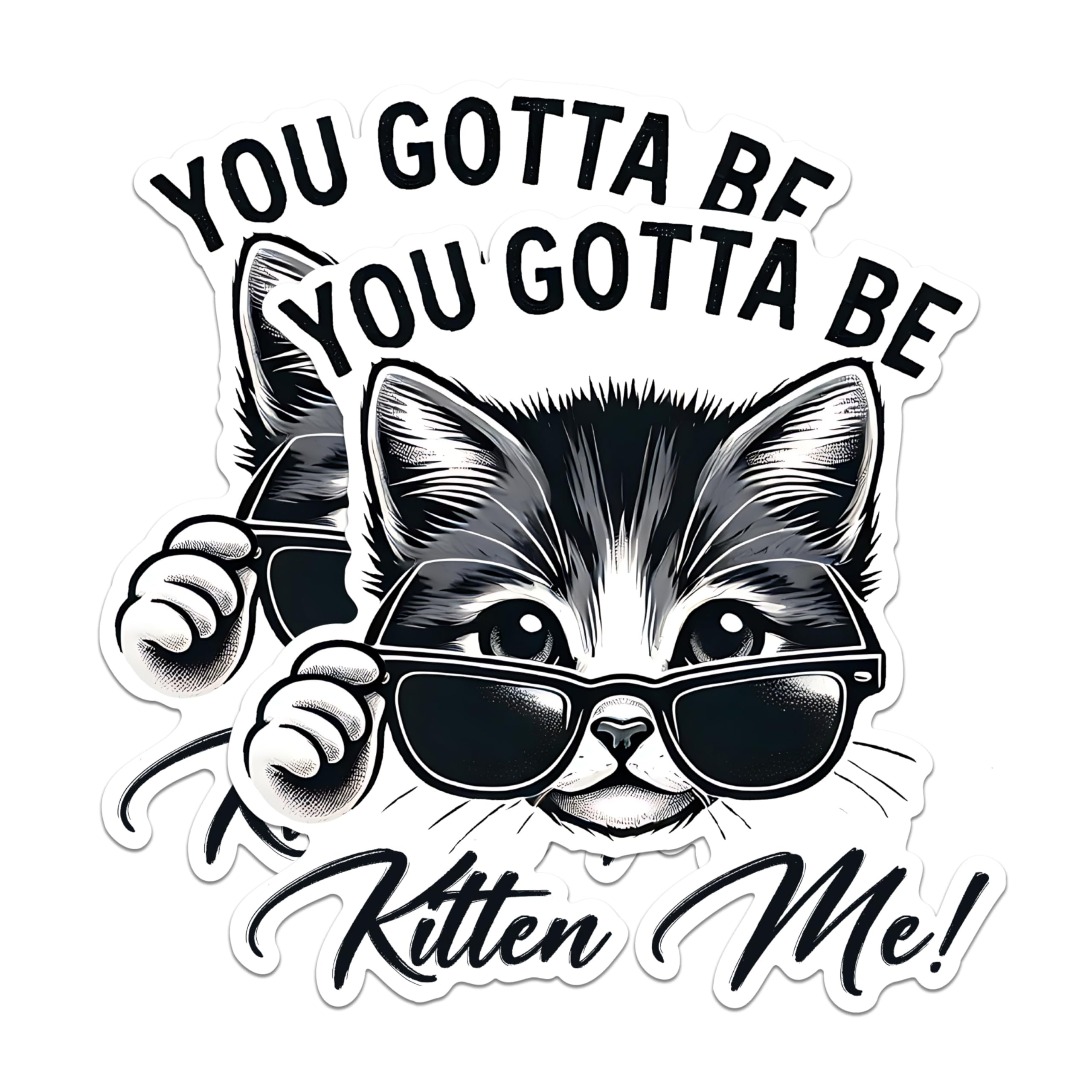 (2 Pack) Cat Magnets - Funny Cat Saying Magnets - Cute Cat Decor Magnets- 5" On Longest Side - for Fridges, Toolboxes, Cars - Made in USA - MAG2794