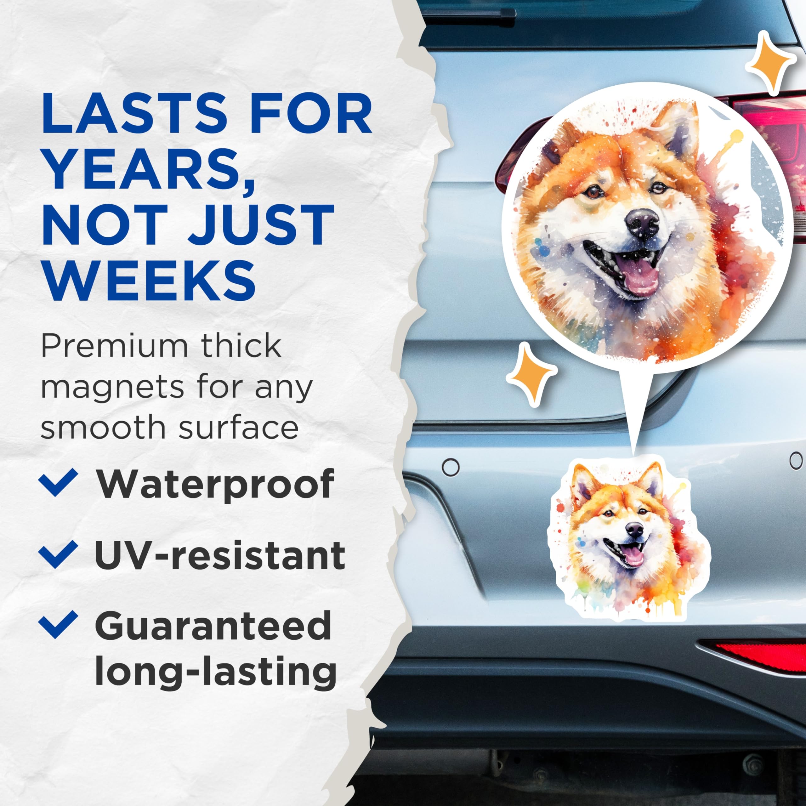 (2 Pack) Shiba Inu Dog Magnets - Watercolor Pet Art - Happy Dog Lover Decor - 5 Inches On Longest Side - Thick Durable Magnet - Made in USA - MAG25990