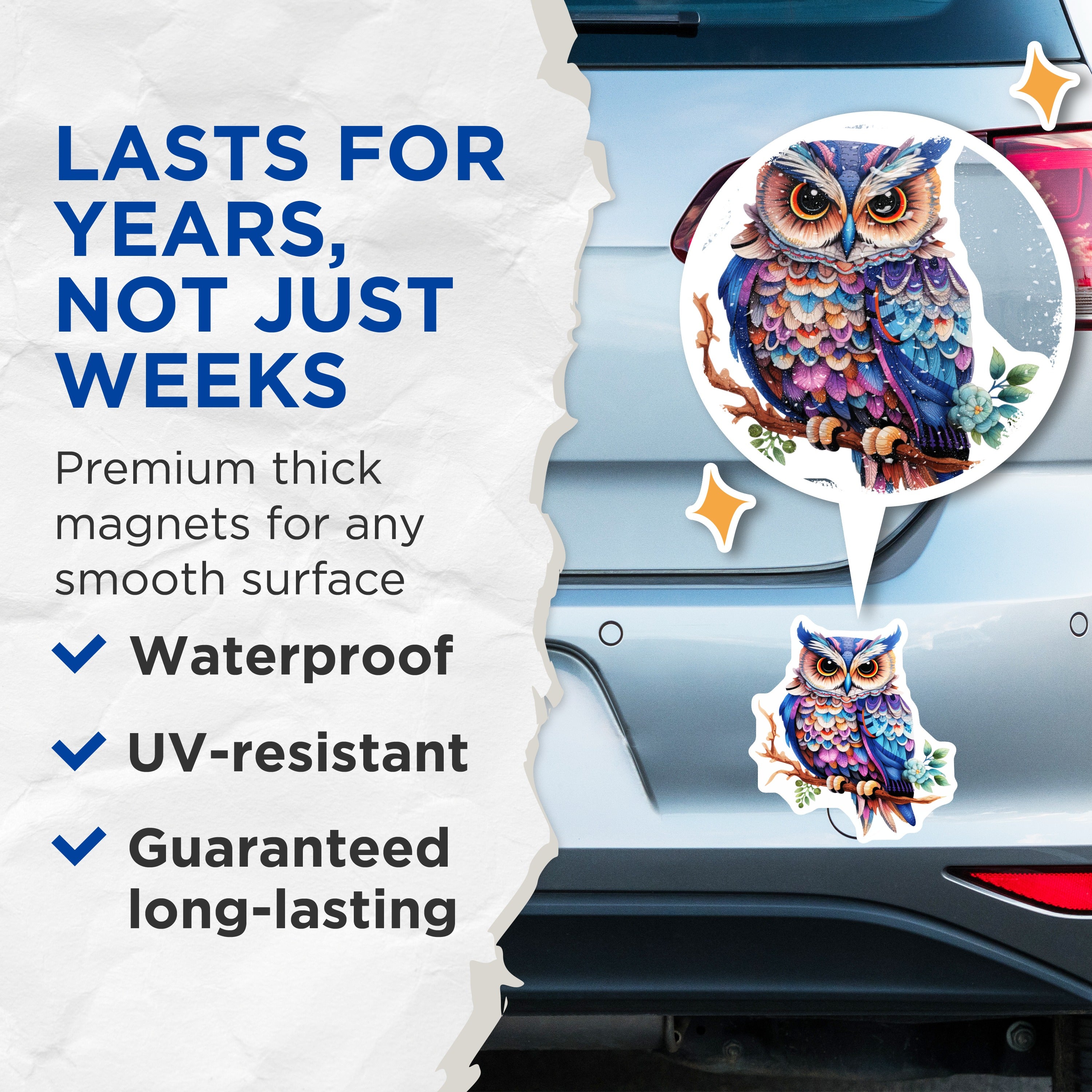 (2 Pack) Bohemian Owl Magnets - Colorful Folk Art Bird - Whimsical Nature Decor - 5 Inches On Longest Side - Thick Durable Magnet - Made in USA - MAG39718
