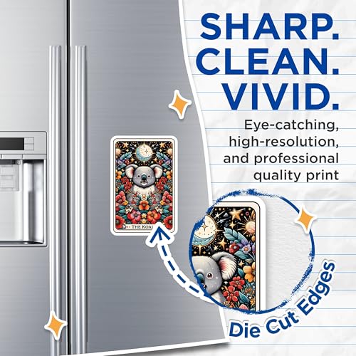 (2 Pack) Cute Koala Magnets - Ative Animal Magnets - Floral Art Magnets for Fridge - 5" On Longest Side - for Cars, Fridges, Toolboxes - Made in USA - MAG4470