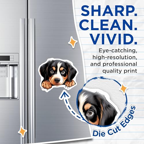 (2 Pack) Dog Lover Decor Magnet - 5" On Longest Side - Sticks to Smooth Flat Surfaces - Made in USA - MAG9979