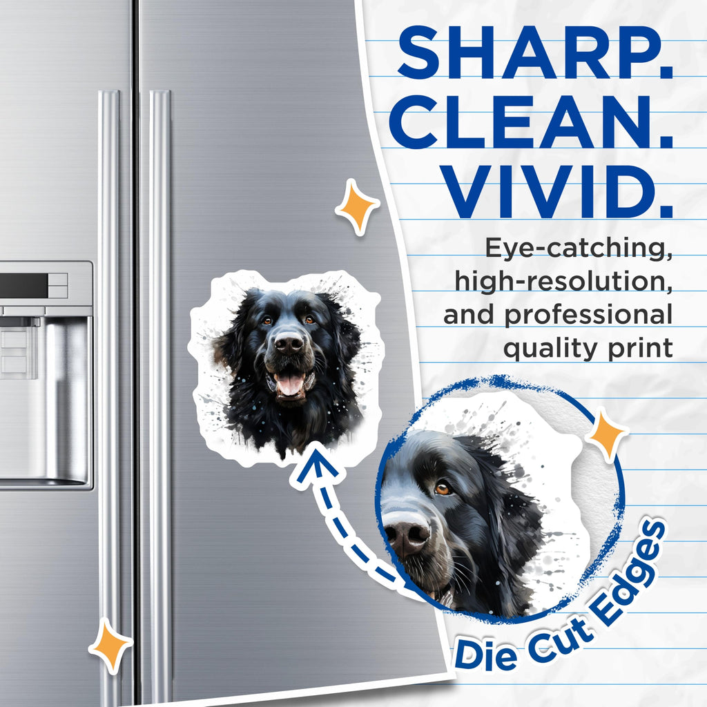 (2 Pack) Newfoundland Dog Magnets - Watercolor Dog Art - Dog Lover Home Decor - 5 Inches On Longest Side - Thick Durable Magnet - Made in USA - MAG26629