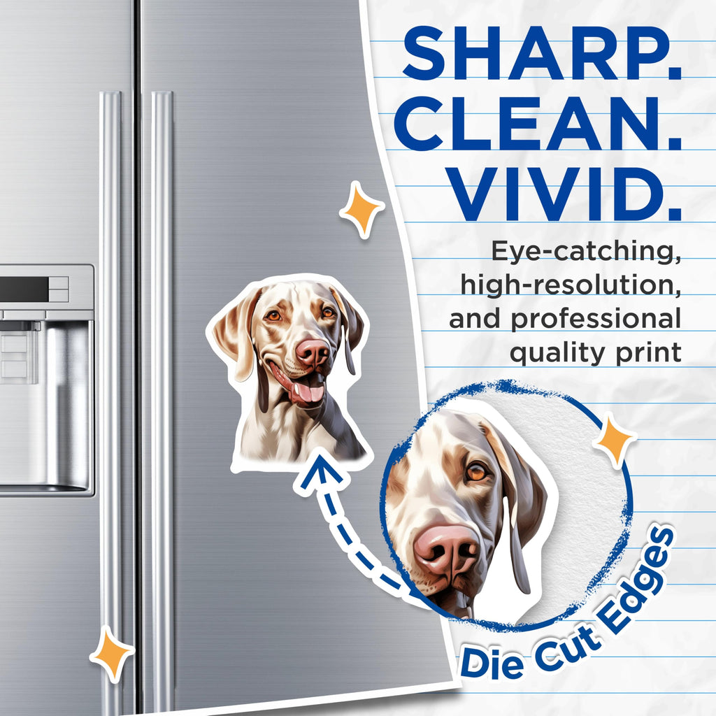 (2 Pack) Weimaraner Magnets - Dog Breed Lover Present - Fridge Locker Decor - 5 Inches On Longest Side - Thick Durable Magnet - Made in USA - MAG27884