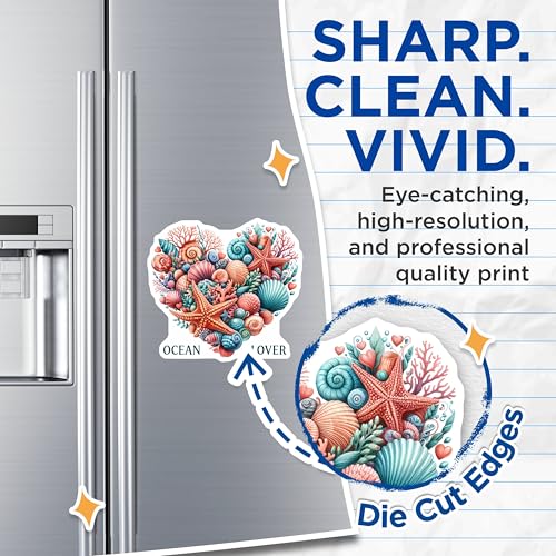 (2 Pack) Ocean Lover Magnets Magnets - Seashell Design - Marine Life Decor - 5" On Longest Side - Made in USA - Sticks to Refrigerators & Metal Surfaces - MAG9290