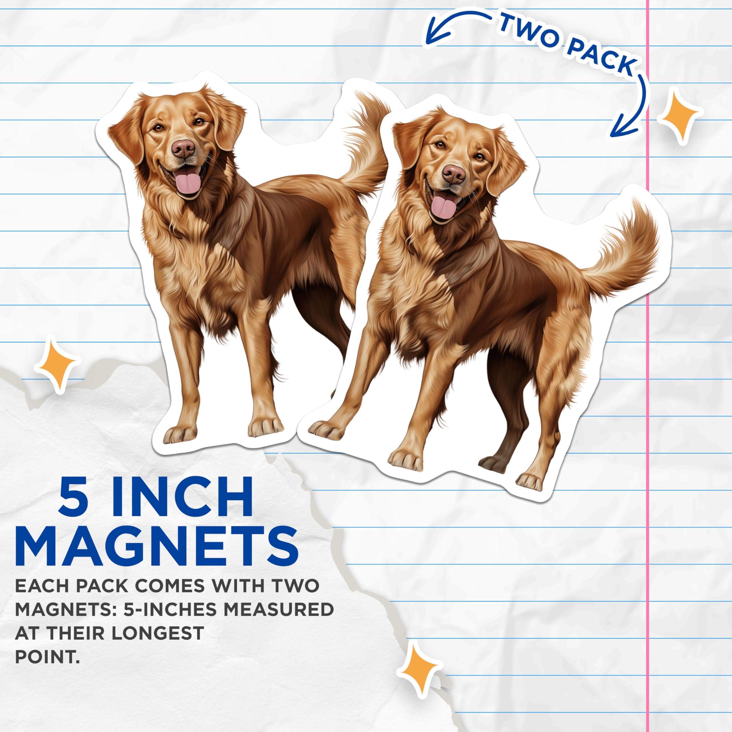 (2 Pack) Golden Retriever Magnets - Dog Lover Decor - Pet Parent Accessories - Animal Fridge Decor - 5 Inches On Longest Side - Thick Durable Magnet - Made in USA - MAG26668