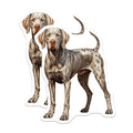 (2 Pack) Catahoula Leopard Dog Magnets - Dog Mom Dad Decor - Refrigerator Locker Accessories - 5 Inches On Longest Side - Thick Durable Magnet - Made in USA - MAG27298