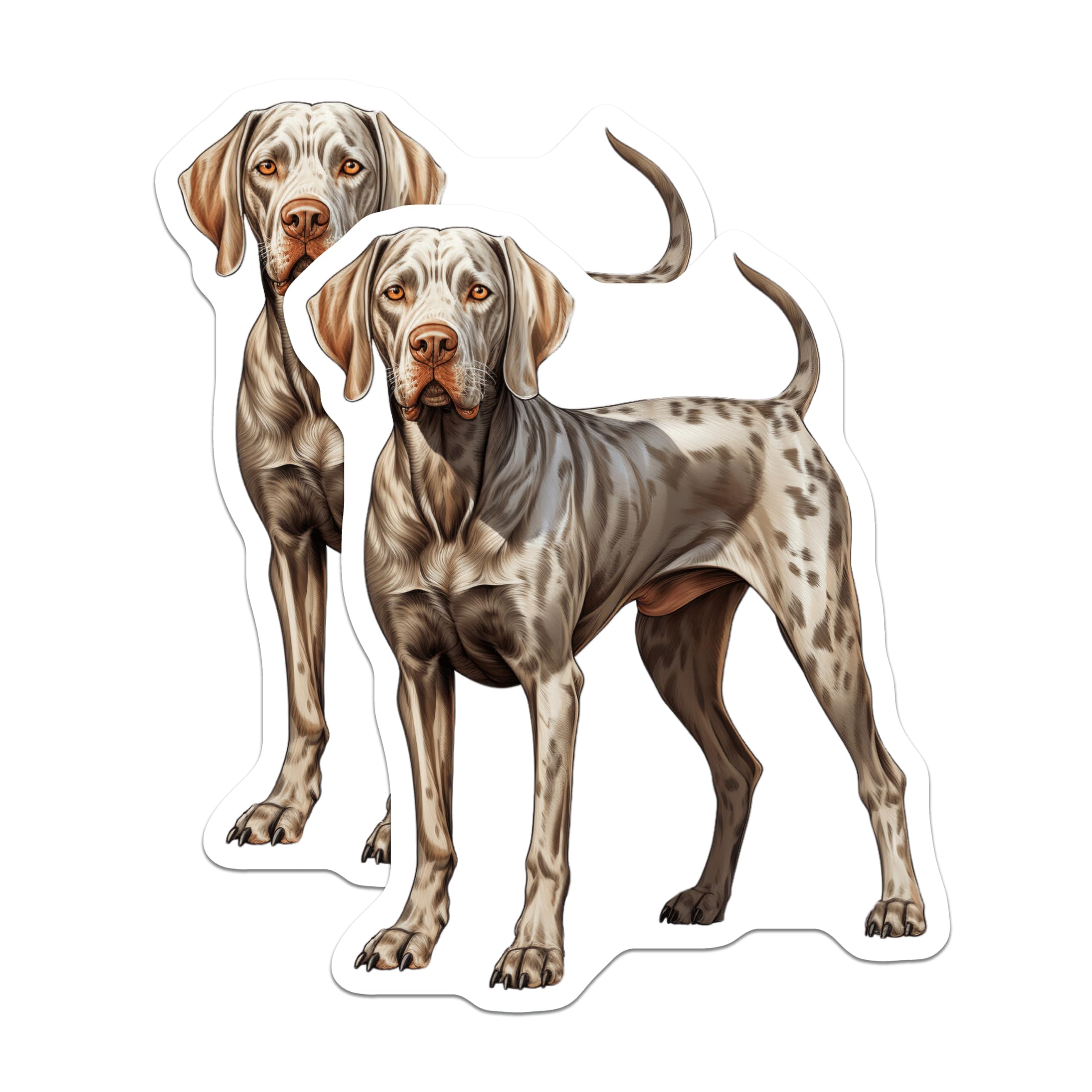 (2 Pack) Catahoula Leopard Dog Magnets - Dog Mom Dad Decor - Refrigerator Locker Accessories - 5 Inches On Longest Side - Thick Durable Magnet - Made in USA - MAG27298