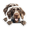 (2 Pack) Animal Lover Decor Magnet - Fun Fridge Accessories - Canine Art Collection - Kitchen Organizer - 5" On Longest Side - Sticks to Smooth Flat Surfaces - Made in USA - MAG10177