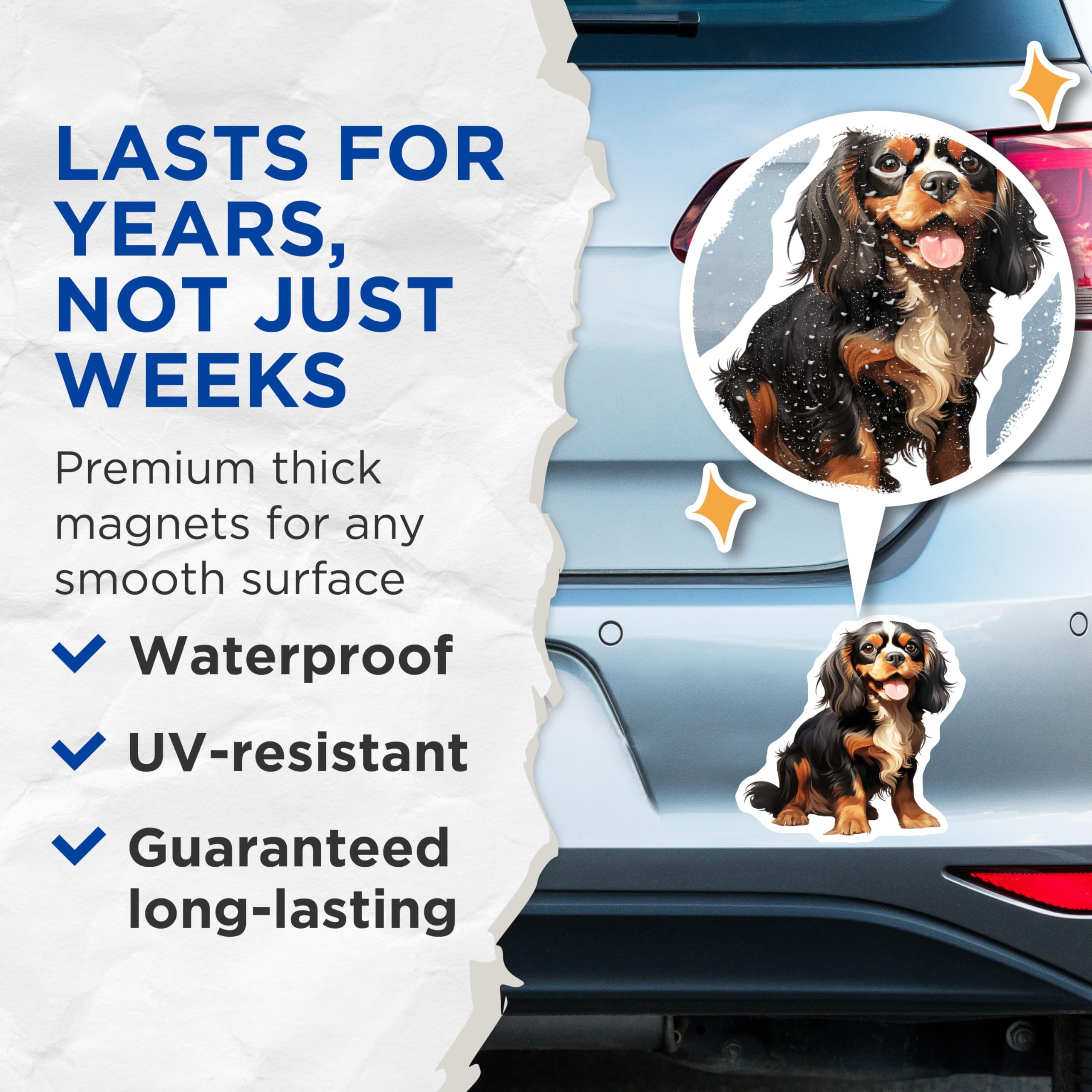 (2 Pack) Cavalier King Charles Spaniel Magnets - Dog Mom Dog Dad Decor - Cute Pet Art Magnets - 5 Inches On Longest Side - Thick Durable Magnet - Made in USA - MAG30678