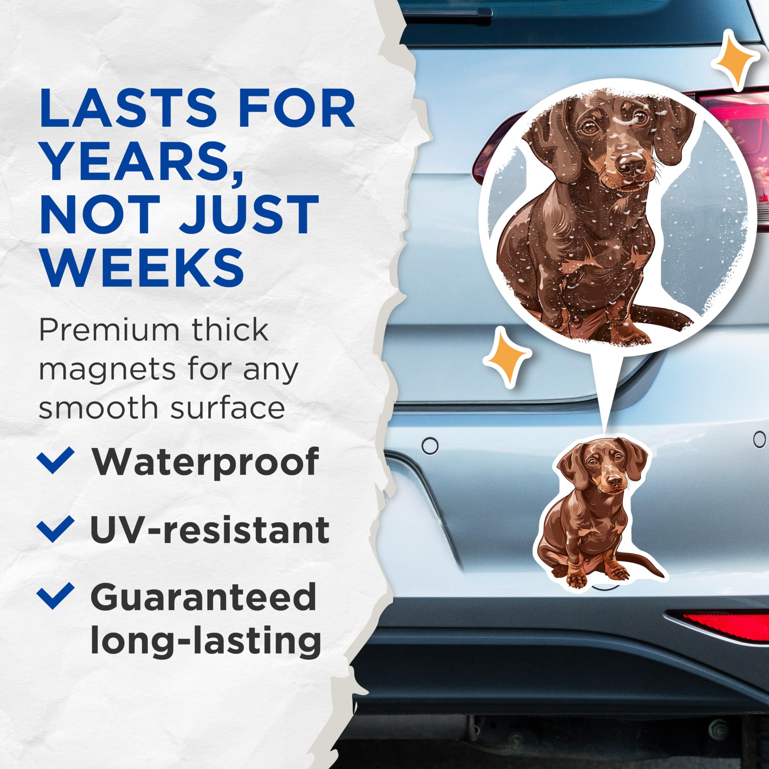 (2 Pack) Dachshund Magnets - Weenie Dog Decor - Brown Dog Refrigerator Magnets - 5" On Longest Side - Premium Magnet - for Cars, Refrigerators, Toolboxes, Lockers - Made in USA - MAG16474