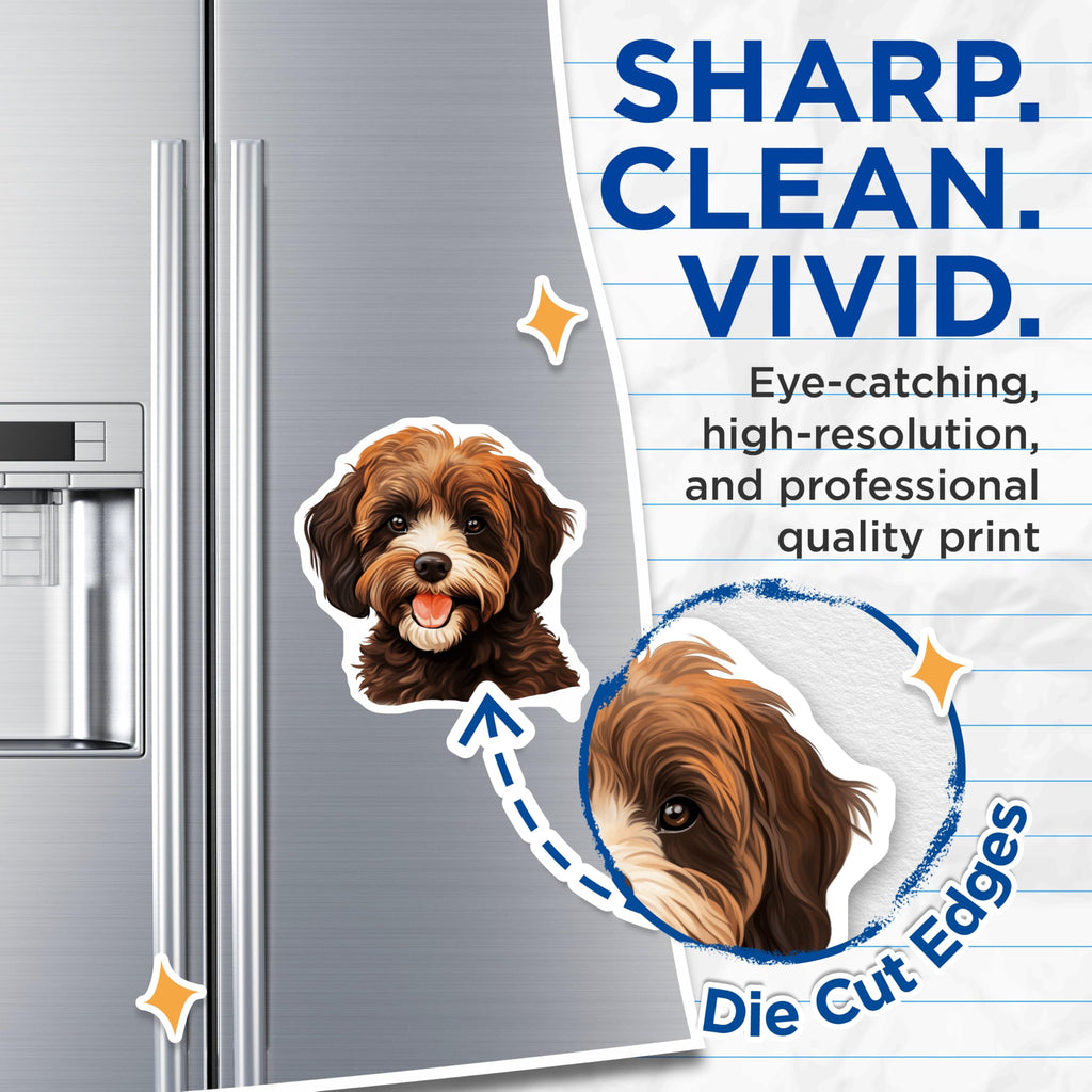 (2 Pack) Cute Fluffy Dog Magnets - Cavapoo Puppy Lover Decor - Dog Mom Fridge Accessories - Animal Enthusiast Present - 5 Inches On Longest Side - Thick Durable Magnet - Made in USA - MAG27283