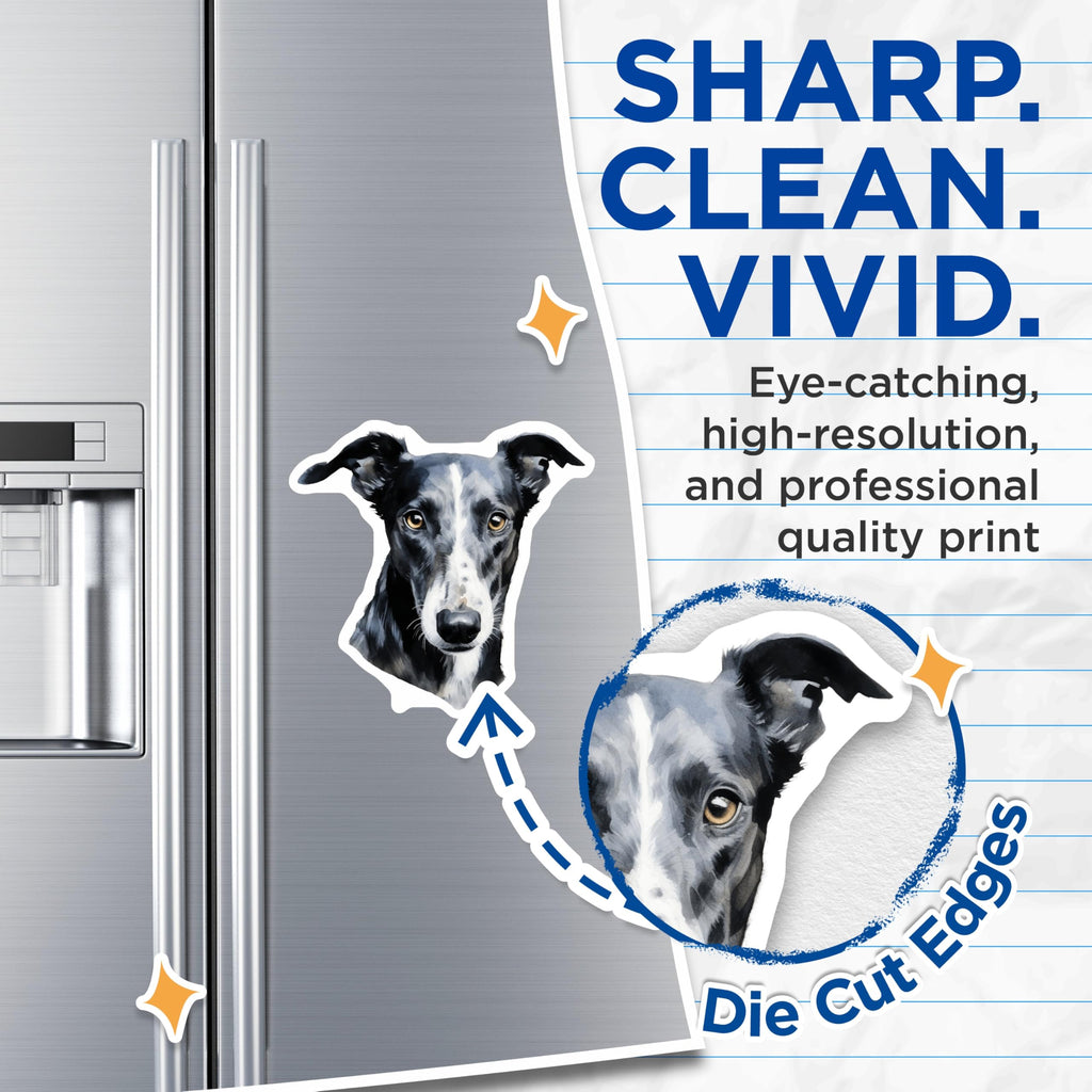 (2 Pack) Greyhound Magnets - Dog Lover Decor - Refrigerator Art - 5 Inches On Longest Side - Thick Durable Magnet - Made in USA - MAG27682