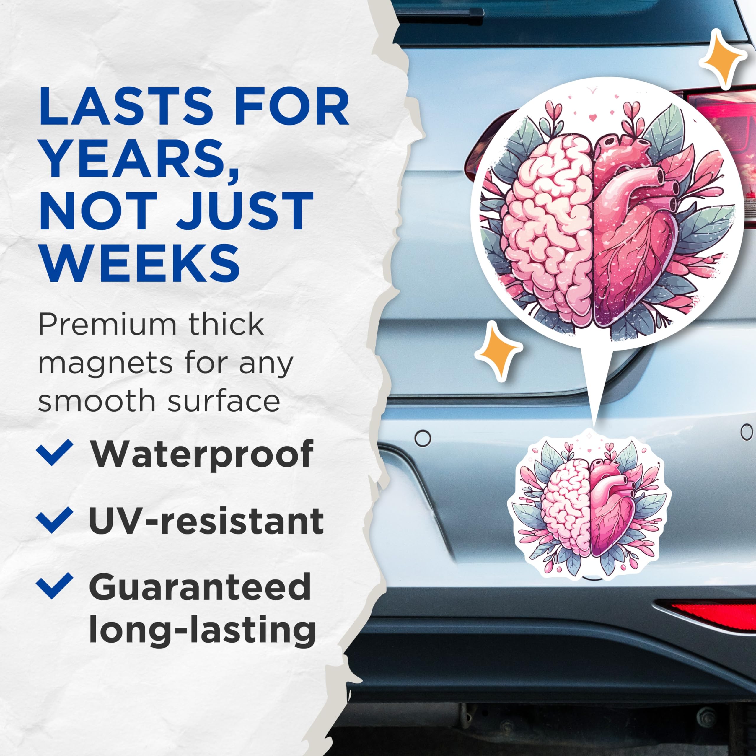(2 Pack) Brain Heart Magnets - Logic Emotion Duality Art - Mental Health Science Decor - Refrigerator Locker Accent - 5 Inches On Longest Side - Thick Durable Magnet - Made in USA - MAG19529