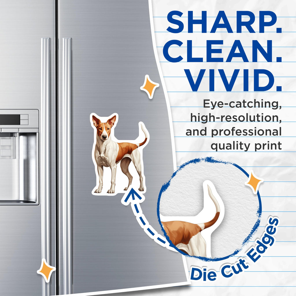 (2 Pack) Basenji Dog Magnets - Realistic Canine Art - Pet Owner Accessory - Dog Mom Decor - 5 Inches On Longest Side - Thick Durable Magnet - Made in USA - MAG25125