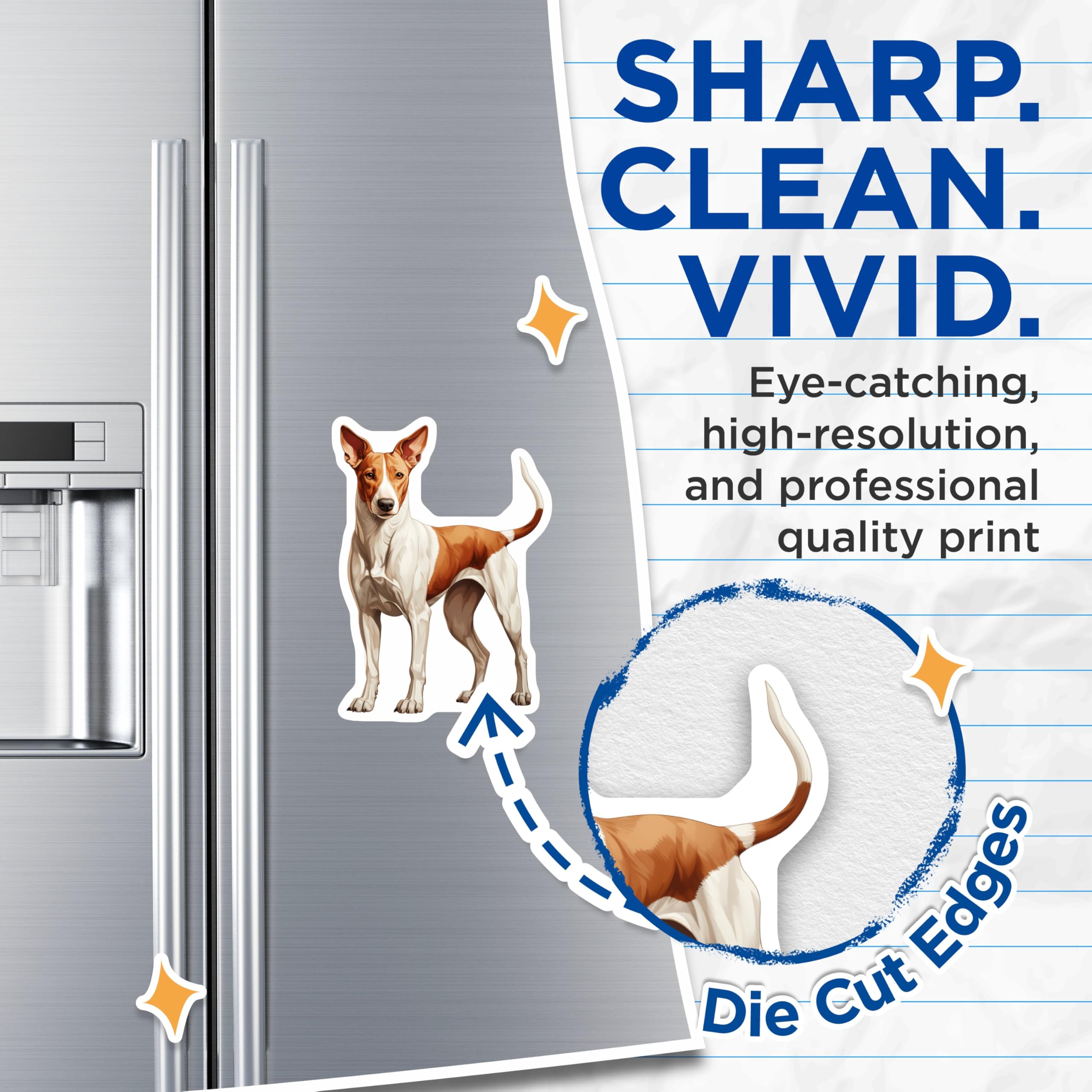 (2 Pack) Basenji Dog Magnets - Realistic Canine Art - Pet Owner Accessory - Dog Mom Decor - 5 Inches On Longest Side - Thick Durable Magnet - Made in USA - MAG25125