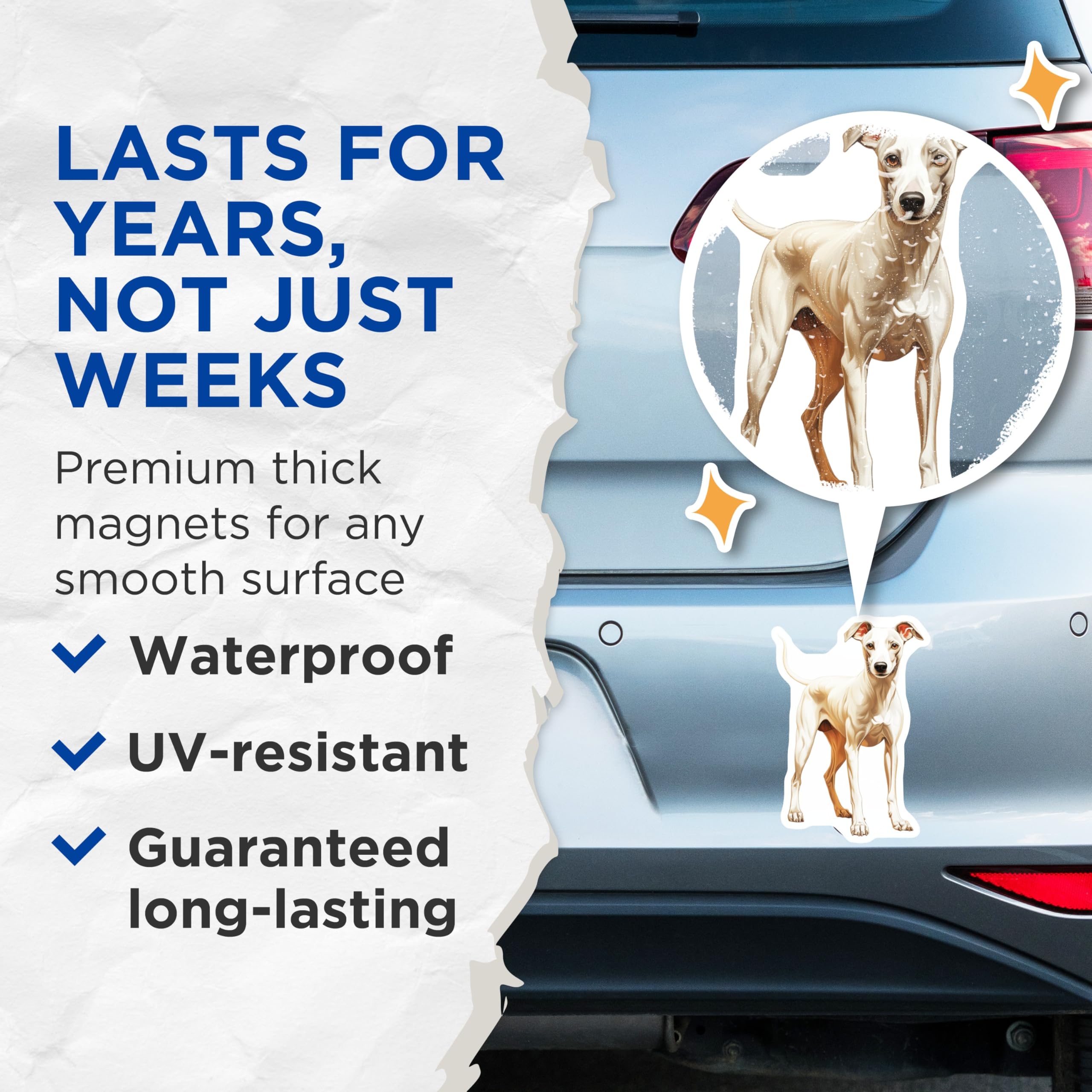 (2 Pack) Italian Greyhound Magnets - Whippet Dog Art - Sighthound Pet Decor - Animal Lover Fridge Accent - 5 Inches On Longest Side - Thick Durable Magnet - Made in USA - MAG27322