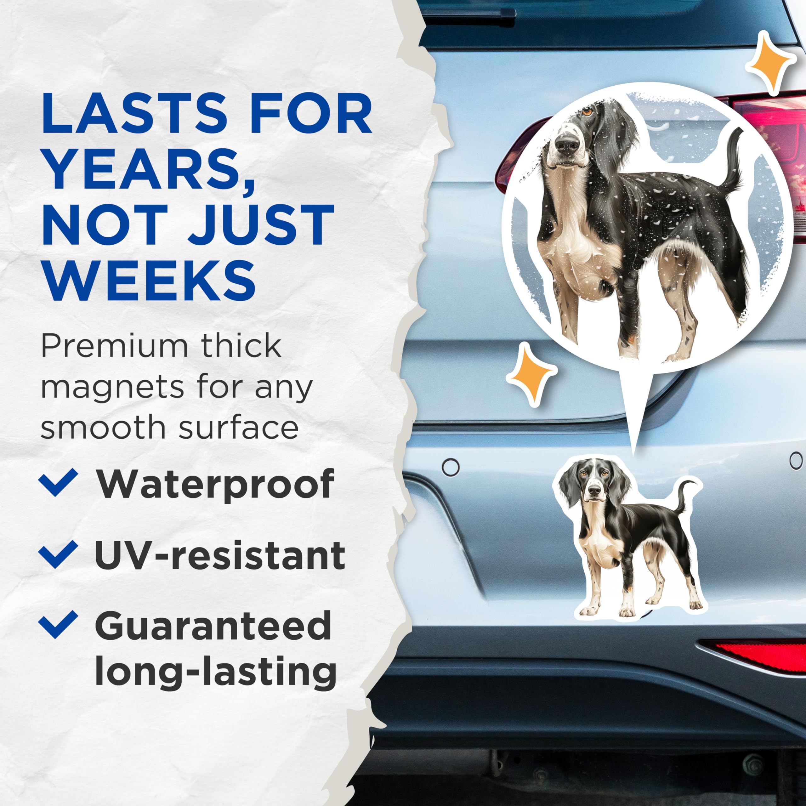 (2 Pack) Black White Spaniel Dog Magnets - Pet Portrait Refrigerator Decor - Dog Lover Home Accent - 5 Inches On Longest Side - Thick Durable Magnet - Made in USA - MAG27679
