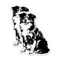 (2 Pack) Border Collie Magnets - Dog Lover Decor - Pet Owner Fridge Accessories - 5 Inches On Longest Side - Thick Durable Magnet - Made in USA - MAG39005