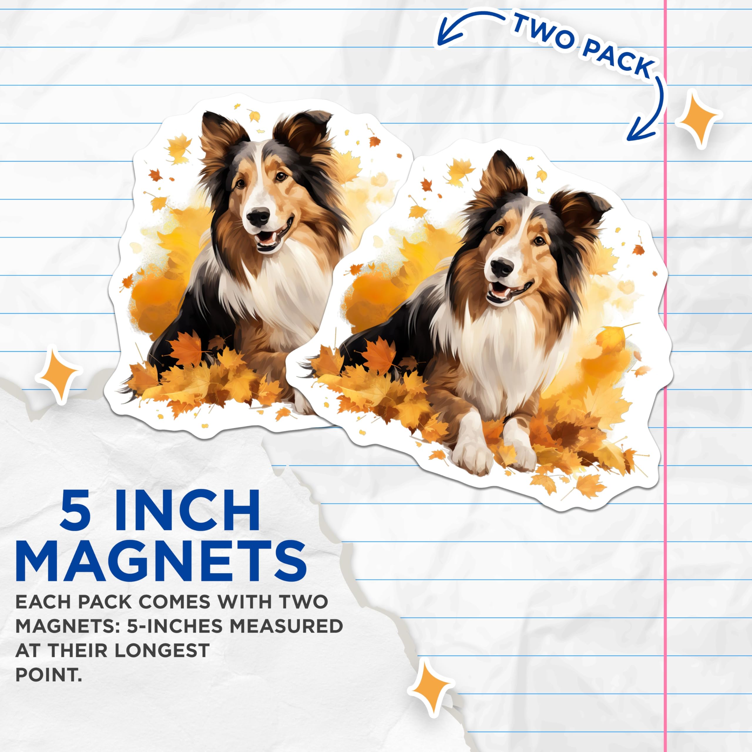 (2 Pack) Shetland Sheepdog Magnets - Sheltie Dog Art - Fall Autumn Decor Pet Lovers - 5 Inches On Longest Side - Thick Durable Magnet - Made in USA - MAG28616