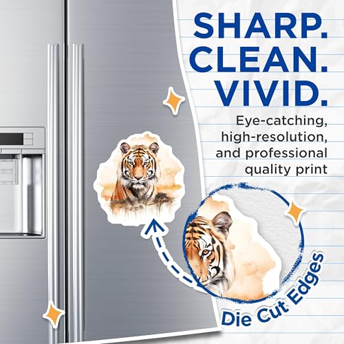 (2 Pack) Majestic Tiger Magnets - Wildlife Animal - Nature Magnets - 5" On Longest Side - for Cars, Fridges, Toolboxes - Made in USA - MAG3806