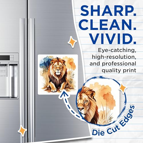 (2 Pack) Lion Art Magnets Magnets - Animal Kingdom Decor - Nature Lovers Magnet - 5" On Longest Side - Made in USA - Sticks to Refrigerators & Metal Surfaces - MAG8695