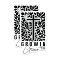 (2 Pack) Growin Grace Stickers - Christian Bible Verse Stickers - Floral Cross Stickers - 5" On Longest Side - Sticks to Any Smooth Flat Surface - Made in USA - BMCS3061