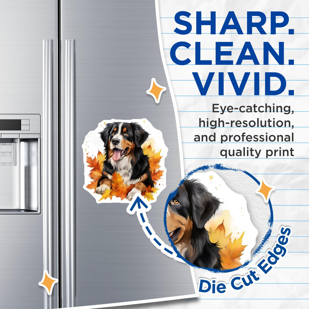(2 Pack) Bernese Mountain Dog Magnets - Autumn Leaves Dog Art - Fall Decor Pet Lover - 5 Inches On Longest Side - Thick Durable Magnet - Made in USA - MAG28581