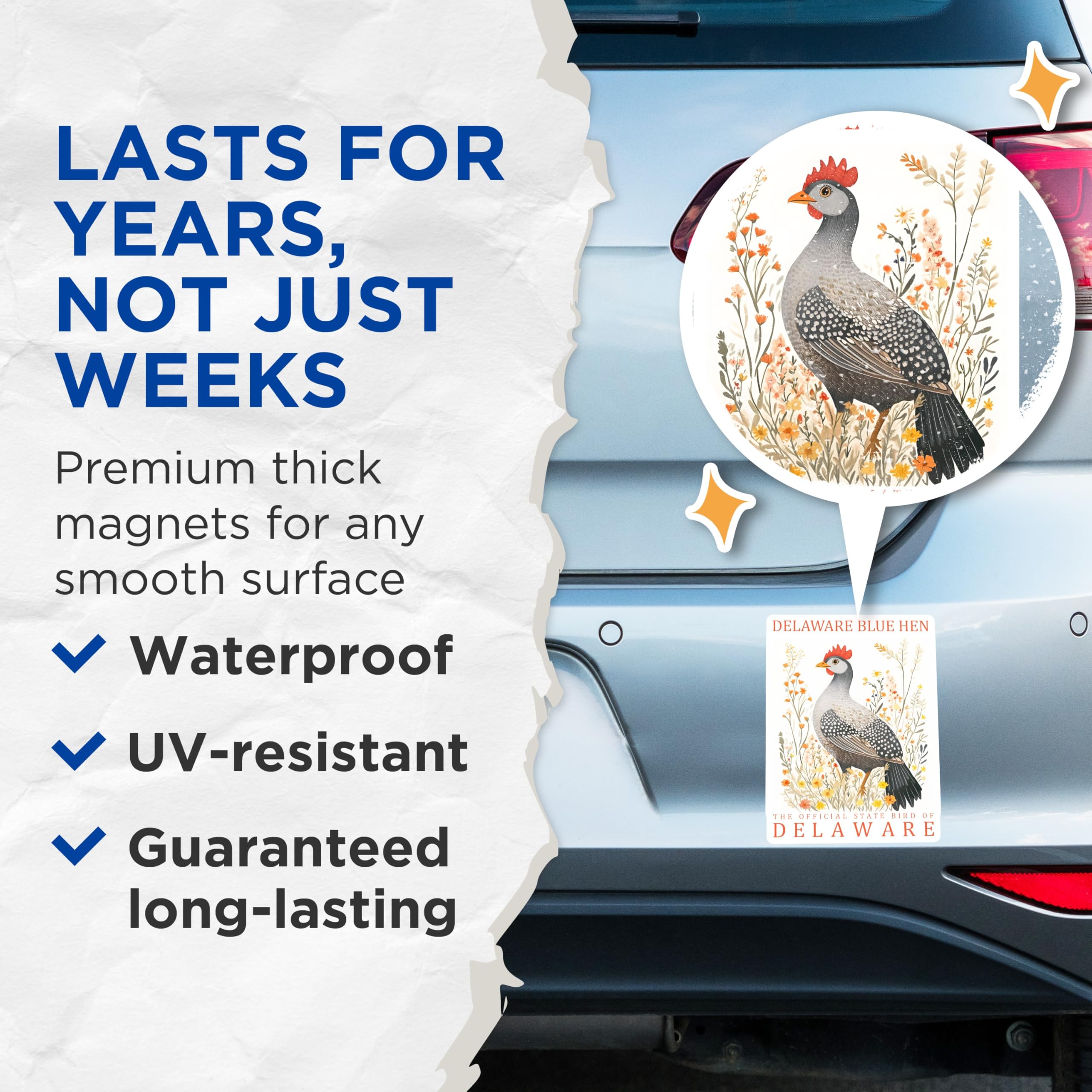 (2 Pack) Delaware Blue Hen Magnets - State Bird Art - Floral Hen Magnet Set - 5" On Longest Side - Premium Magnet - for Cars, Refrigerators, Toolboxes, Lockers - Made in USA - MAG17448